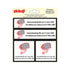 Pictogram 150x150 mm 4 op 1 - Camerabewaking Belgie - P173-15-4 - EAN 8711234376541 - zelfklevende vinyl sticker 