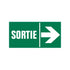 Pictogram 300x150 mm - Sortie droite - P666 - EAN 8711234031587 - zelfklevende vinyl sticker 
